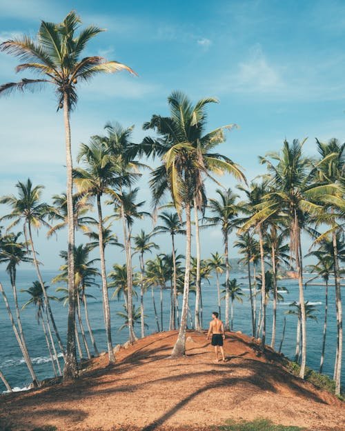 Goa