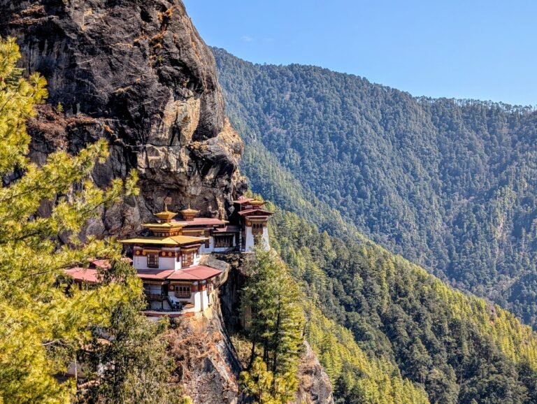 Paro